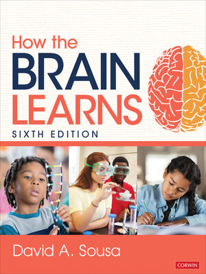 cover image of How the Brain Learns